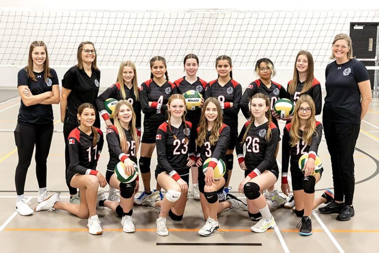 teams-ancaster-lions-volleyball-club